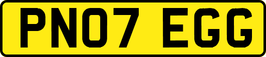 PN07EGG