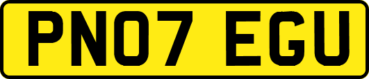 PN07EGU