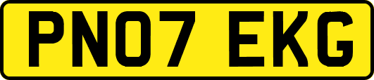 PN07EKG