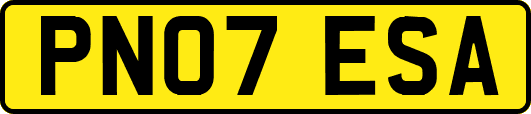 PN07ESA