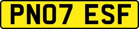 PN07ESF