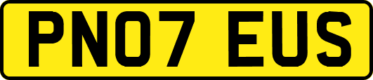 PN07EUS