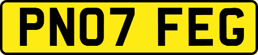 PN07FEG