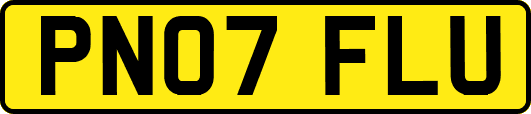 PN07FLU