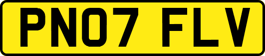 PN07FLV