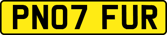 PN07FUR