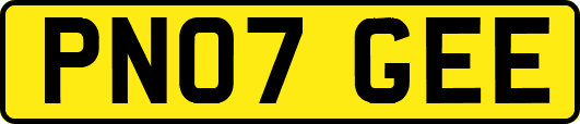 PN07GEE
