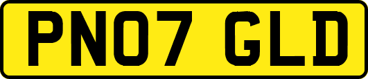 PN07GLD