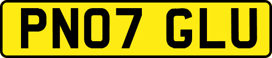 PN07GLU