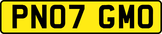 PN07GMO