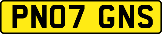 PN07GNS