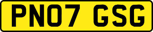 PN07GSG