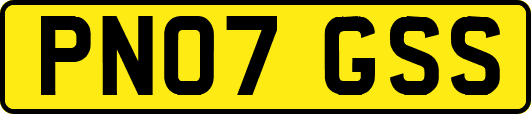 PN07GSS