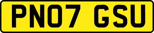 PN07GSU