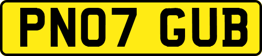 PN07GUB