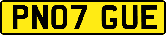 PN07GUE