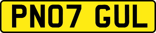 PN07GUL