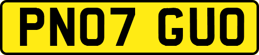 PN07GUO