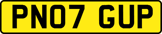 PN07GUP
