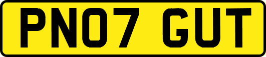 PN07GUT