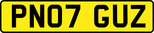 PN07GUZ