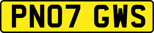 PN07GWS