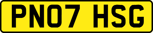 PN07HSG