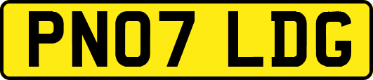 PN07LDG