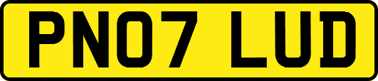 PN07LUD