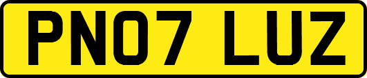 PN07LUZ