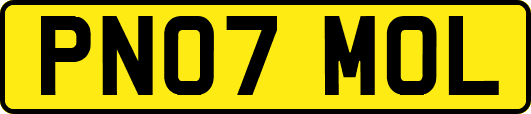 PN07MOL