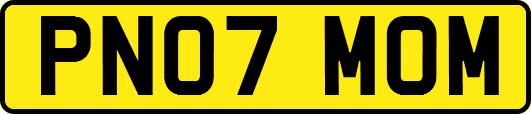 PN07MOM