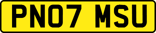 PN07MSU