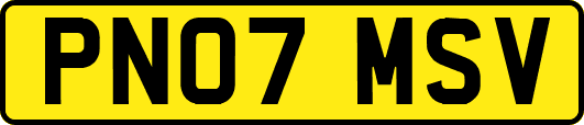 PN07MSV
