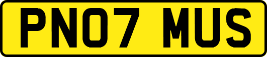 PN07MUS