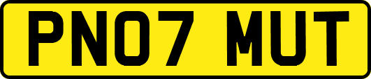 PN07MUT