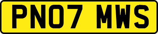 PN07MWS