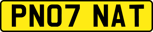 PN07NAT