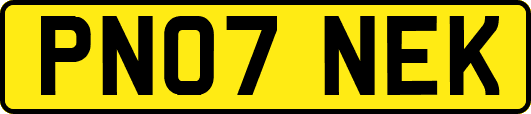 PN07NEK