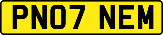 PN07NEM