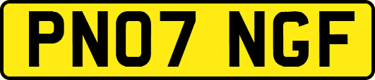 PN07NGF