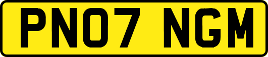PN07NGM