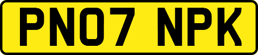 PN07NPK