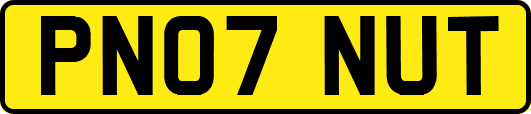 PN07NUT
