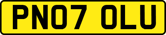 PN07OLU