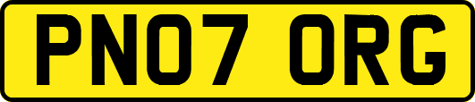 PN07ORG