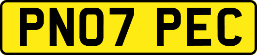 PN07PEC