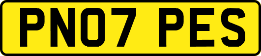 PN07PES