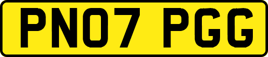 PN07PGG