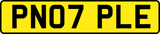 PN07PLE